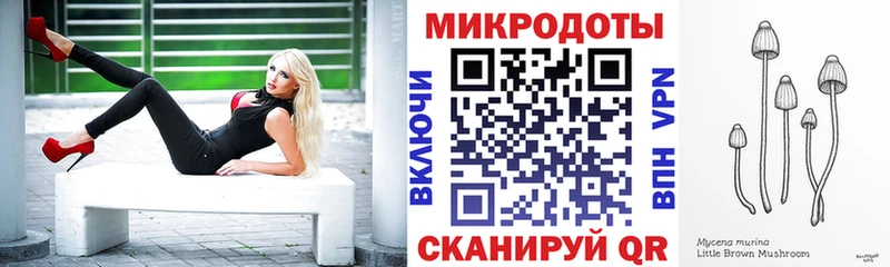 Псилоцибиновые грибы Psilocybine cubensis  Фрязино 