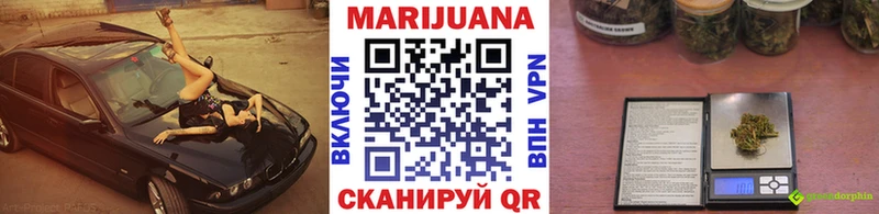 МЕГА как войти  Фрязино  Каннабис ГИДРОПОН 